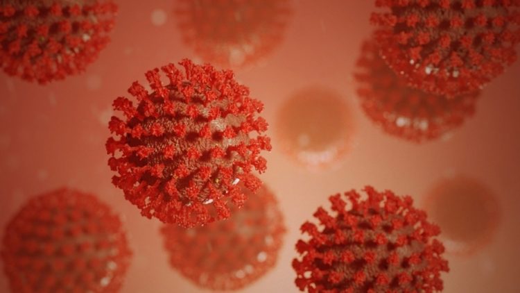 Starker Zuwachs bei Coronavirus-Infektionen in Oder-Spree