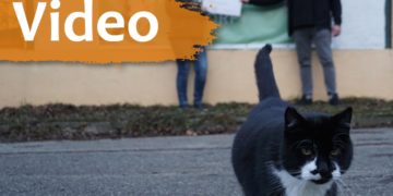 Große Spende von "Butcher and Friends" an Tierschutzligadorf Neuhausen