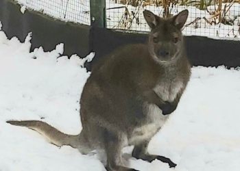 Stadtverwaltung Finsterwalde