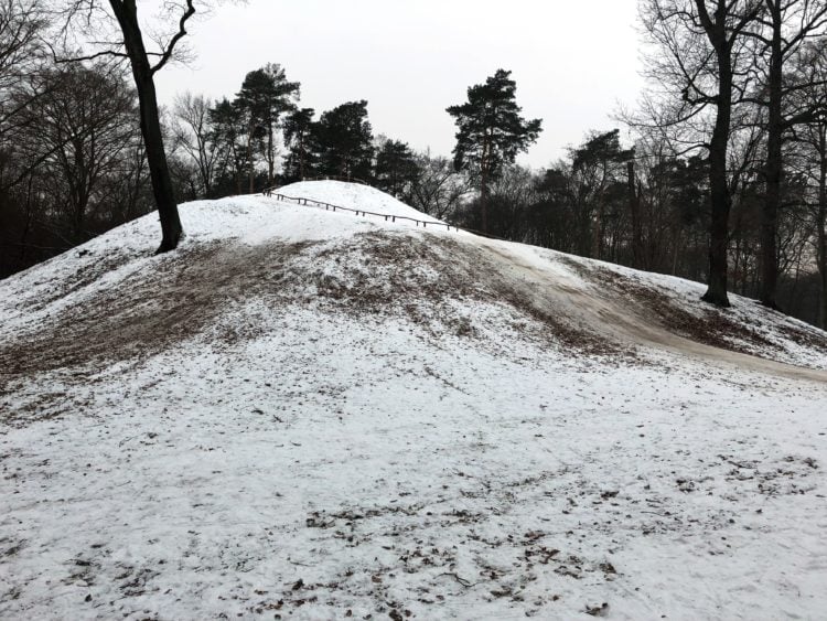 Schäden am Wochenende: "Branitzer Park ist kein Wintersportgebiet"