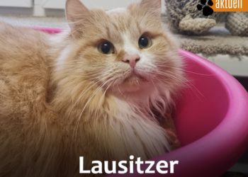 Terra Mater Umwelt- und Tierhilfe