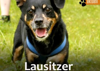 Tierschutzligadorf Neuhausen/Spree