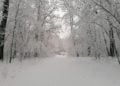 Schnee