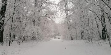 Schnee