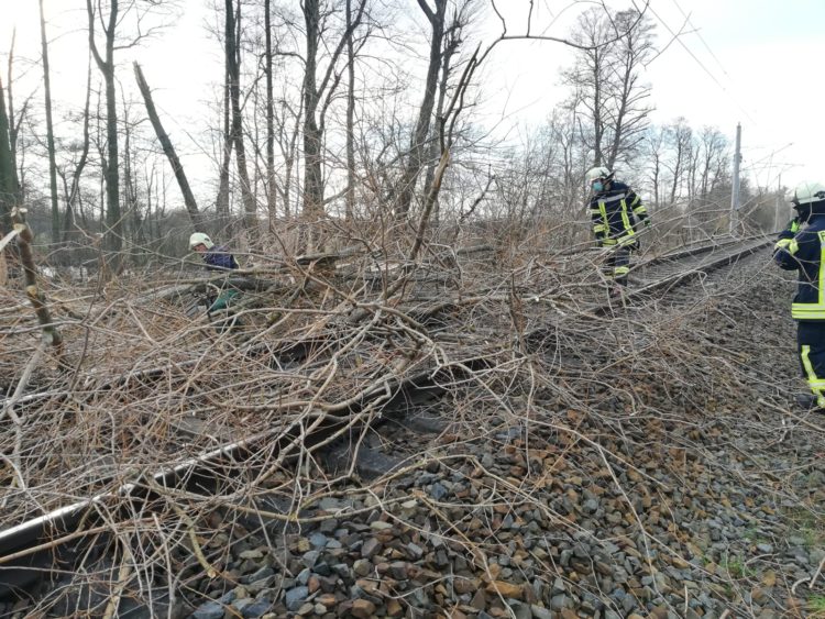 Blaulichtreport Lausitz