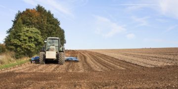 pixabay