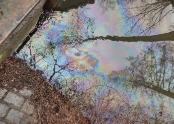 Blaulichtreport Lausitz