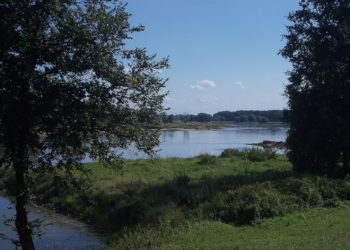 Gottfried Hoffmann, Wikipedia, CC BY-SA 3.0