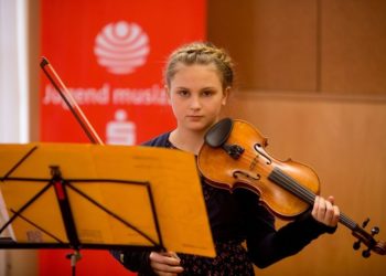 Verband der Musik- und Kunstschulen Brandenburg e.V.