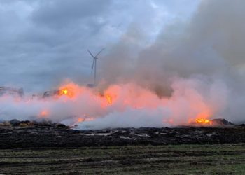Blaulichtreport Lausitz