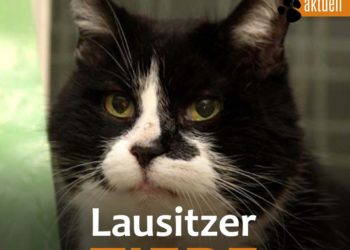 Tierschutzligadorf Neuhausen/Spree