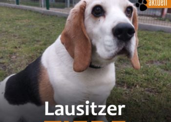 Terra Mater Umwelt- und Tierhilfe 