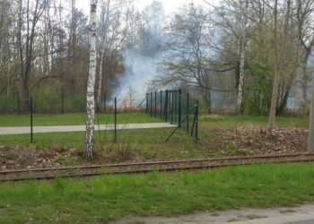 Blaulichtreport Lausitz