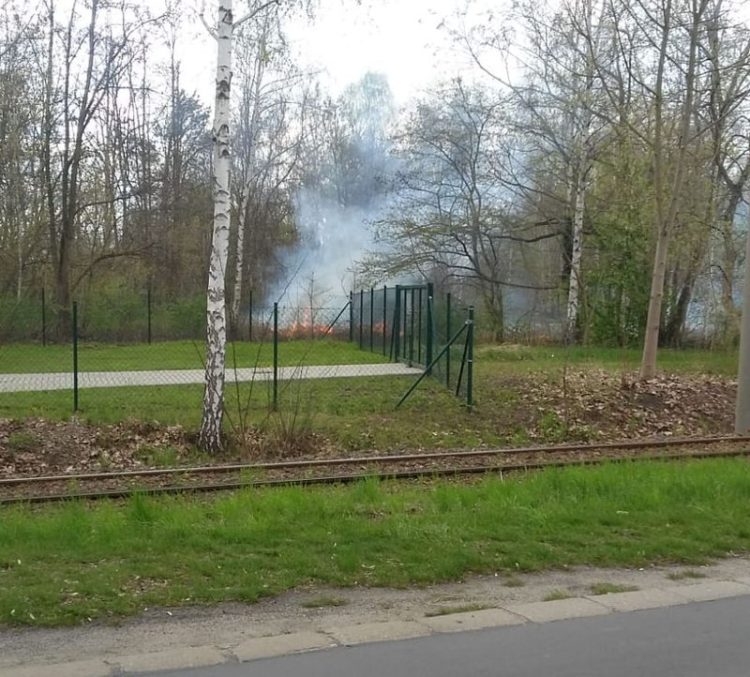 Blaulichtreport Lausitz