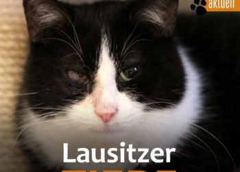 Tierschutzligadorf Neuhausen/Spree