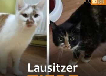 Terra Mater Umwelt- und Tierhilfe 