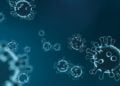 Coronavirus-Inzidenz in Cottbus aktuell bei 189