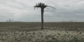 Karl Vouk – Nature Nature / Galerie Brandenburg