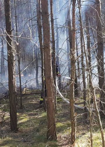 150 m2 Waldboden brannten bei Groß Kölzig; FFW Groß Kölzig