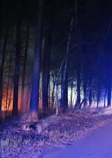 Am Dienstagabend kam es zu einem Waldbrand bei Preschen; FFW Groß Kölzig