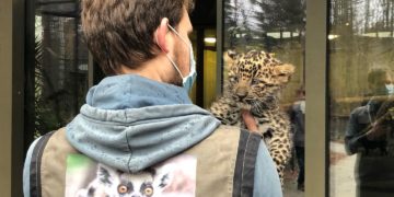 Tierpark Cottbus