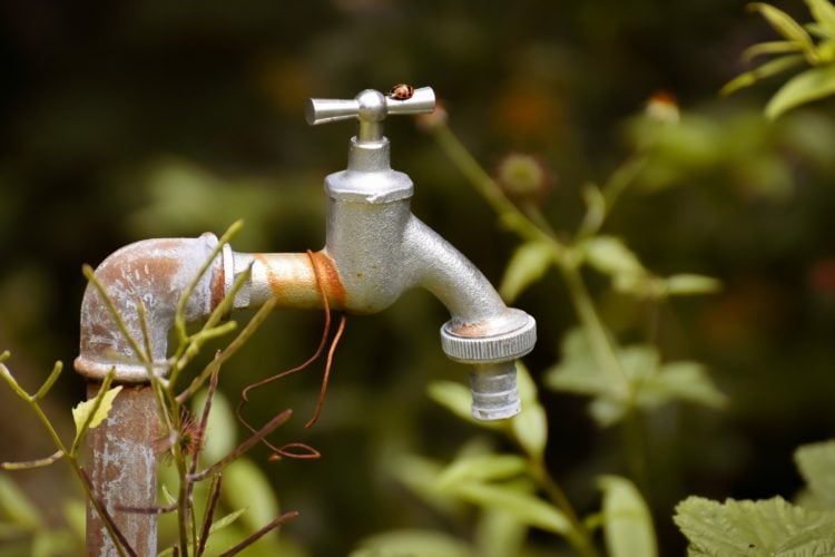 Havarie in Cottbus – kein Wasser auf dem Ströbitzer Friedhof