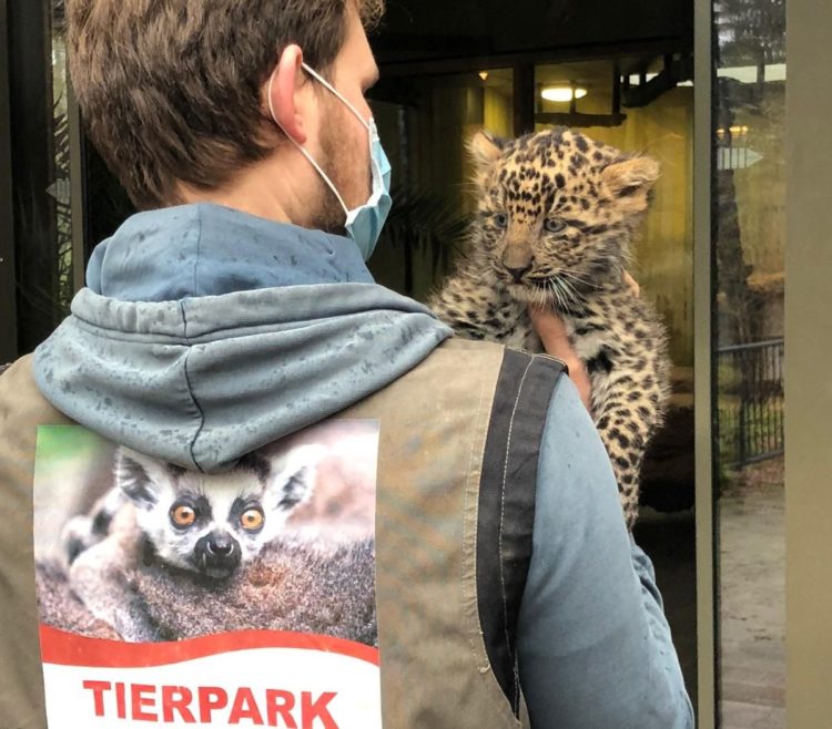 Tierpark Cottbus