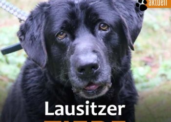 Tierschutzligadorf Neuhausen/Spree