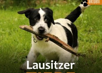 Tierschutzligadorf Neuhausen/Spree