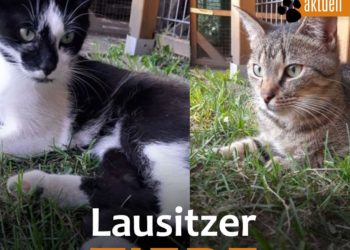 Terra Mater Umwelt- und Tierhilfe 