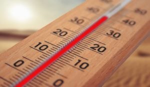 Lausitz erlebte den heißesten 27. Juni seit Aufzeichnungsbeginn