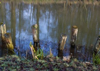 Entlang der Spree. Spree-Neiße erlässt vorläufiges Wasserentnahmeverbot