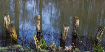 Entlang der Spree. Spree-Neiße erlässt vorläufiges Wasserentnahmeverbot
