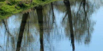 Niedrigwasser: Cottbus verbietet tagsüber Wasserentnahme aus Gewässern