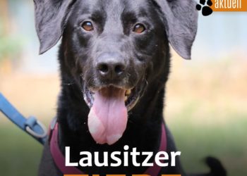 Tierschutzligadorf Neuhausen/Spree