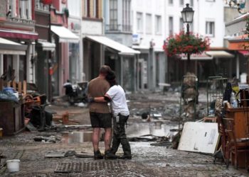 Christof Stache / Kontributor