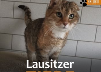 Terra Mater Umwelt- und Tierhilfe 