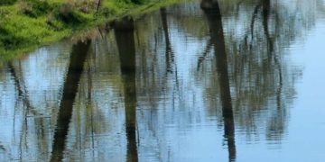 Wasser