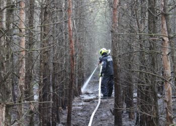 Blaulichtreport Lausitz