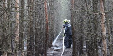Blaulichtreport Lausitz