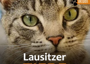 Terra Mater Umwelt- und Tierhilfe 