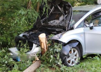 Blaulichtreporter Cottbus 