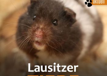 Tierschutzligadorf Neuhausen/Spree