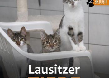 Tierschutzligadorf Neuhausen/Spree