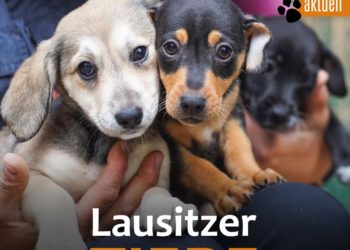 Tierschutzligadorf Neuhausen/Spree