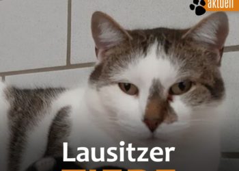 Terra Mater Umwelt- und Tierhilfe 