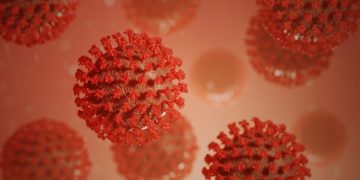Corona