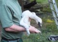 Tierpark Cottbus 