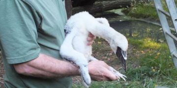 Tierpark Cottbus 