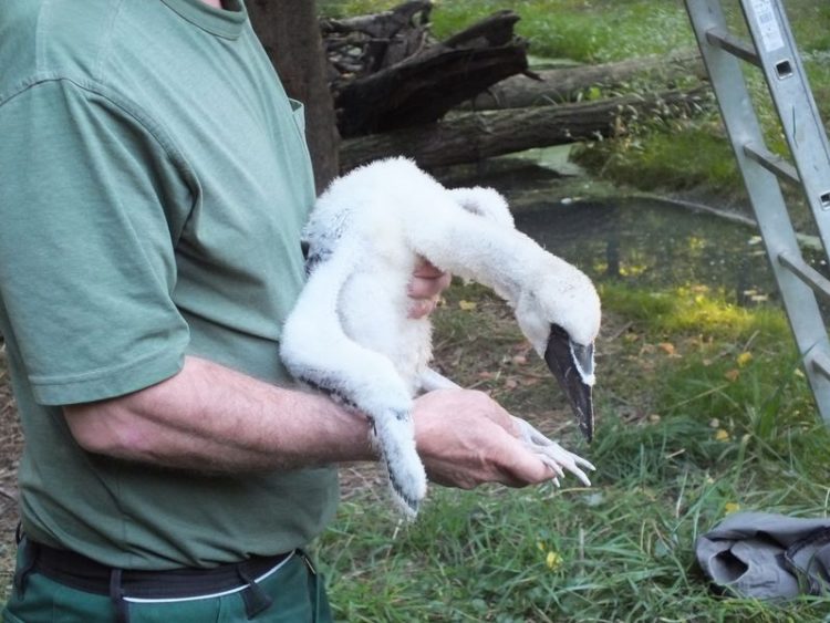 Tierpark Cottbus 